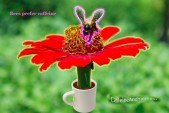 BeeRedFlower2