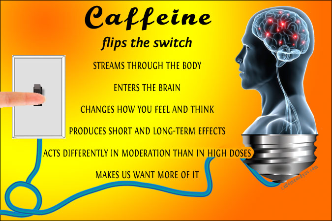 how-caffeine-works-675