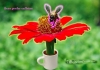 Why Bees Buzz to Caffeine