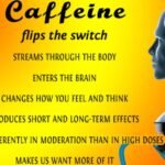 1. How Caffeine Works: Flipping the Switch