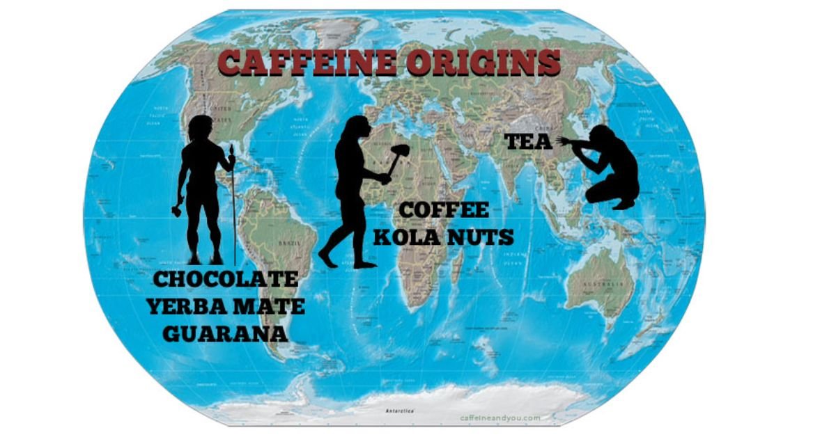 Natural Caffeine