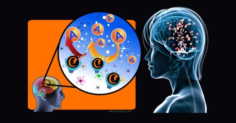 Is Caffeine a Drug or a Food