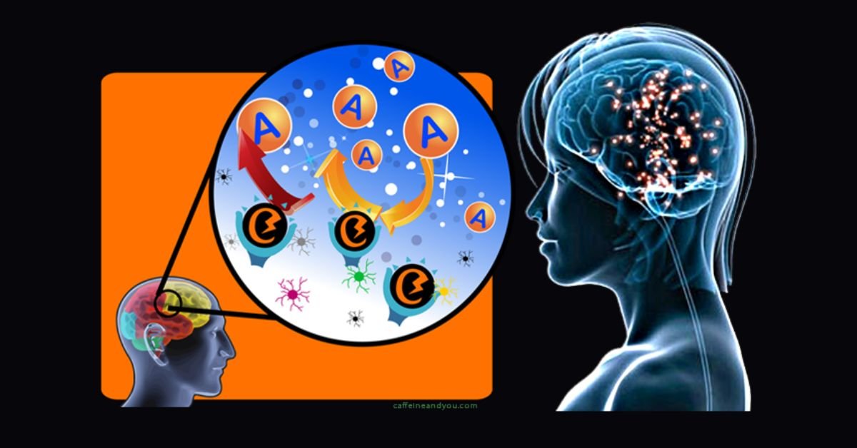 Is Caffeine a Drug or a Food