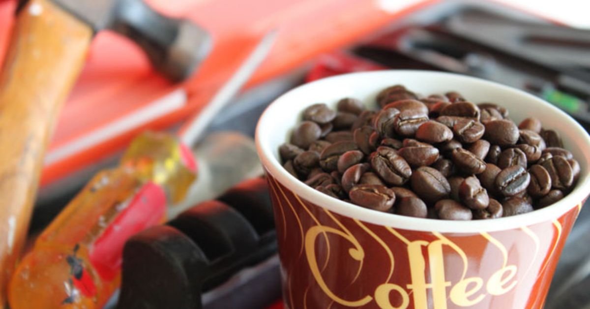 Is caffeine a tool for modern humans?